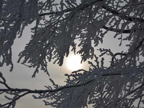 Foto Iarna pe Creasta Cocosului (c) Lucian Petru Goja